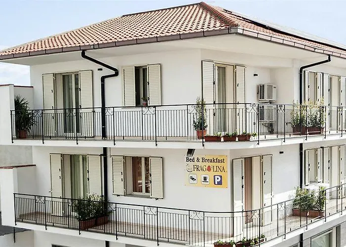 住宿加早餐酒店 草莓住宿加早餐旅馆